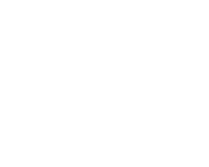 Learn To Surf - W Logo