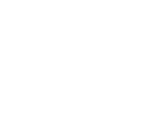 Wildflow - W Logo